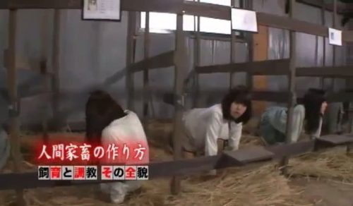 ＜観覧注意＞美人お姉さん達が人間家畜状態になり鬼畜男達の性奴隷になる始末ｗ